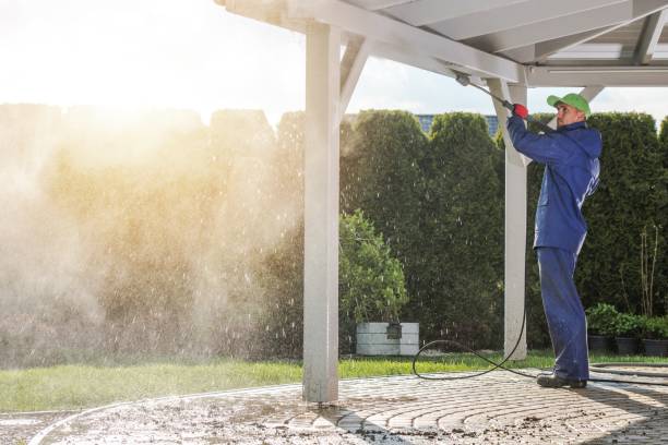 Best Building Exterior Washing  in Kings Point, NY